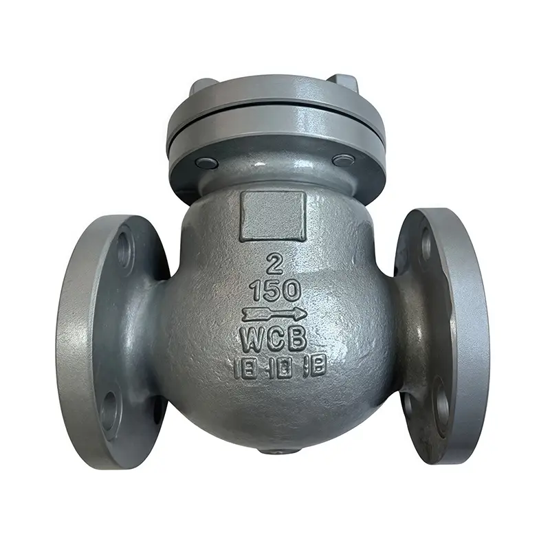 WCB ଆମେରିକୀୟ ଷ୍ଟାଣ୍ଡାର୍ଡ ଚେକ୍ ଭଲଭ୍ |